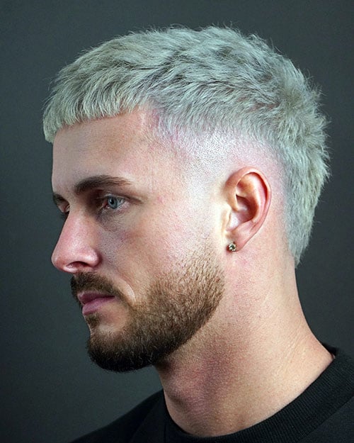 Burst Fade French Crop
